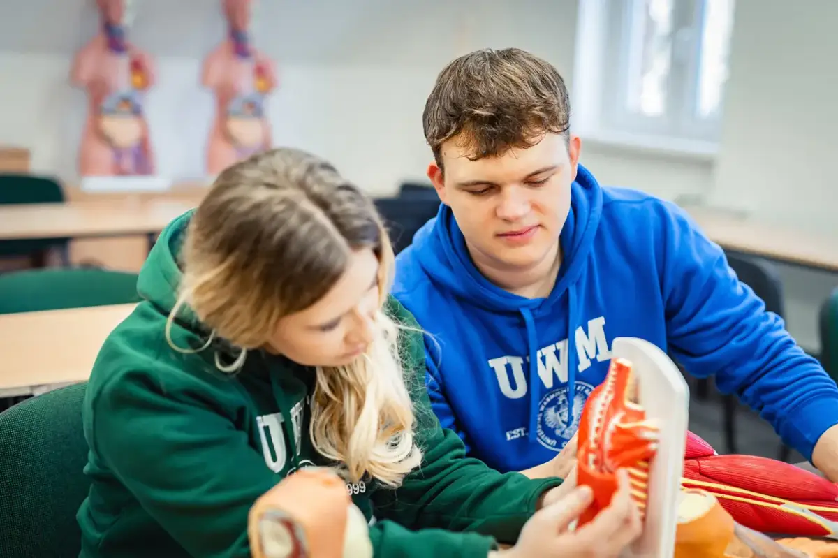 Dwoje studentów analizuje modele anatomiczne mięśni i kości.