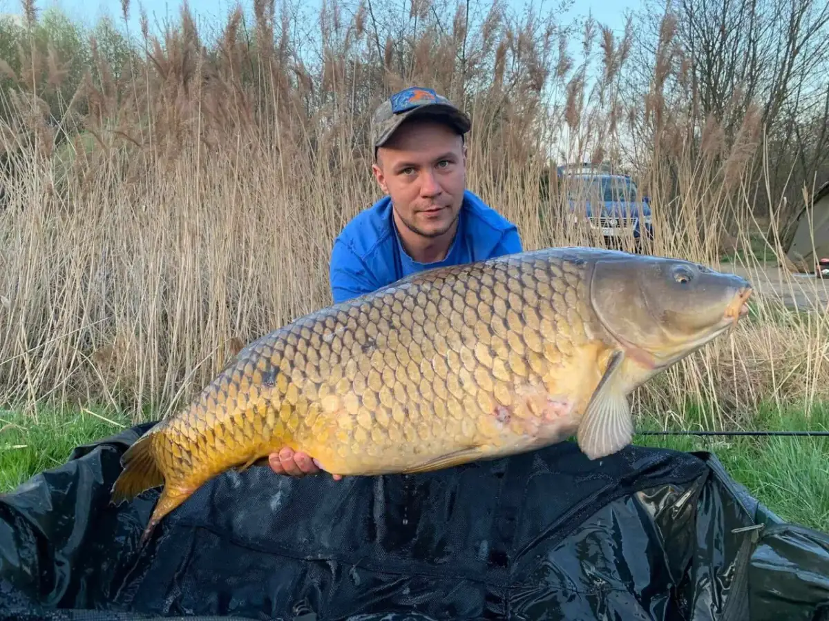 Łowisko pod lasem Rybnik - idealne miejsce na wędkarską przygodę