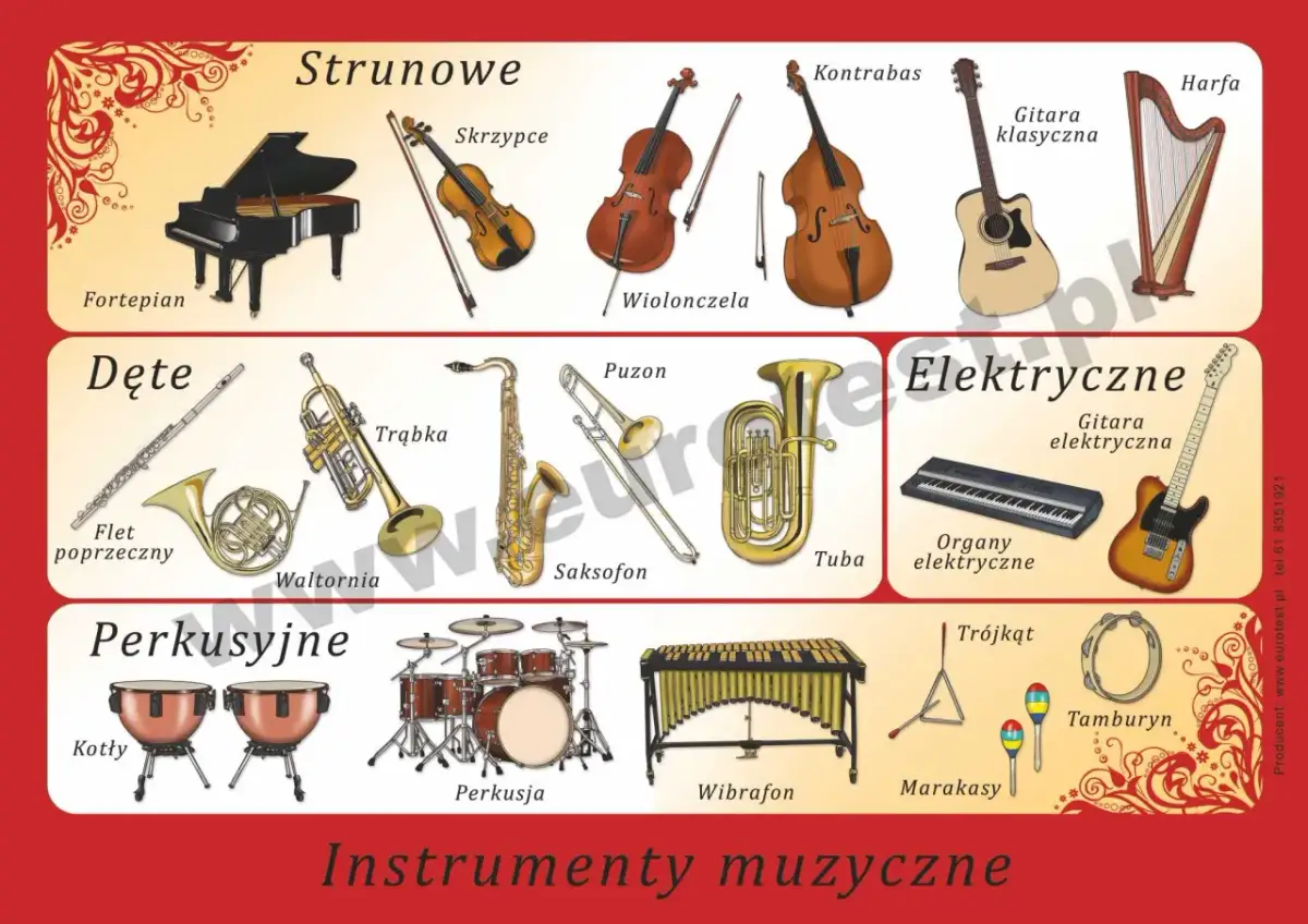 Instrumenty muzyki klasycznej: Jak brzmi orkiestra symfoniczna?