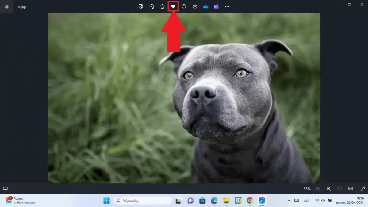 Jak znaleźć ulubione zdjęcia w Windows 10 i uniknąć frustracji