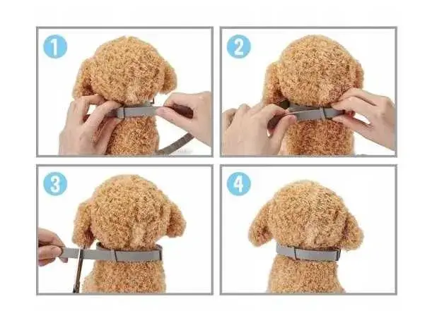 Od kiedy obroża na kleszcze jest bezpieczna dla szczeniąt i kociąt?