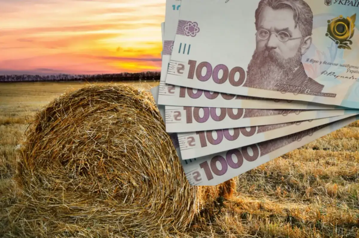 Kto uprawia zboże na Ukrainie? Poznaj największych producentów i rolników