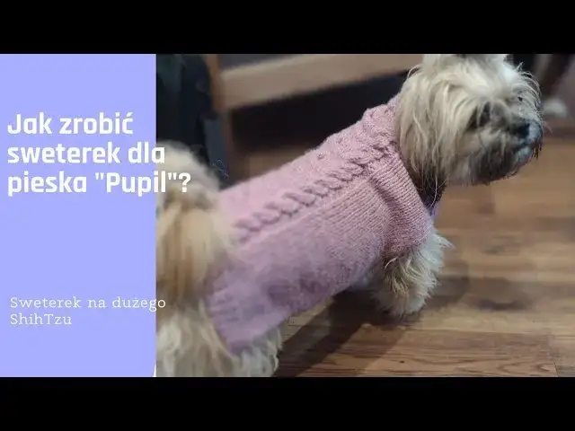 Jak zrobić sweter dla psa - prosty sposób na ciepłe ubranko dla pupila