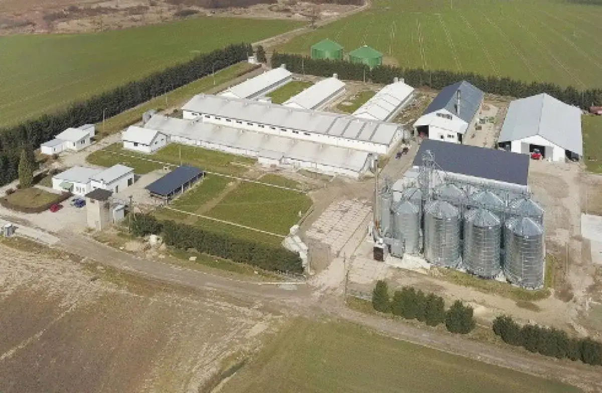 Jaka odległość chlewni od budynku mieszkalnego? Przepisy i wyjątki