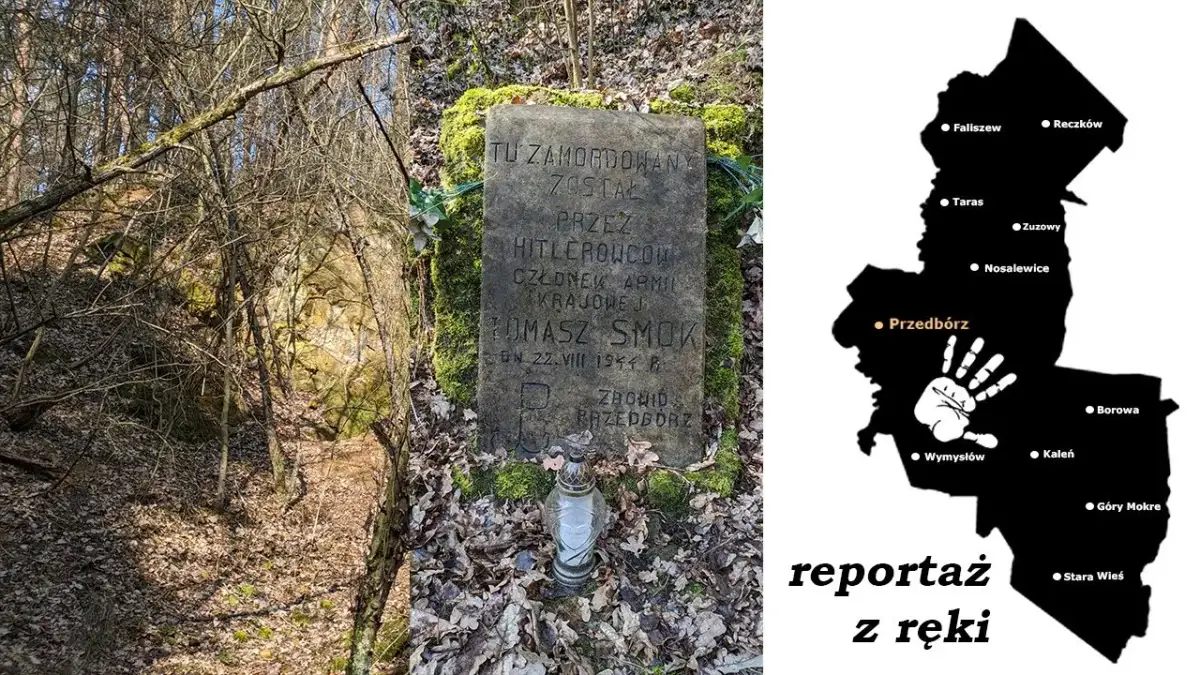 Pilica kajakiem: Planuj spływ! Trasy, ceny, porady dla każdego