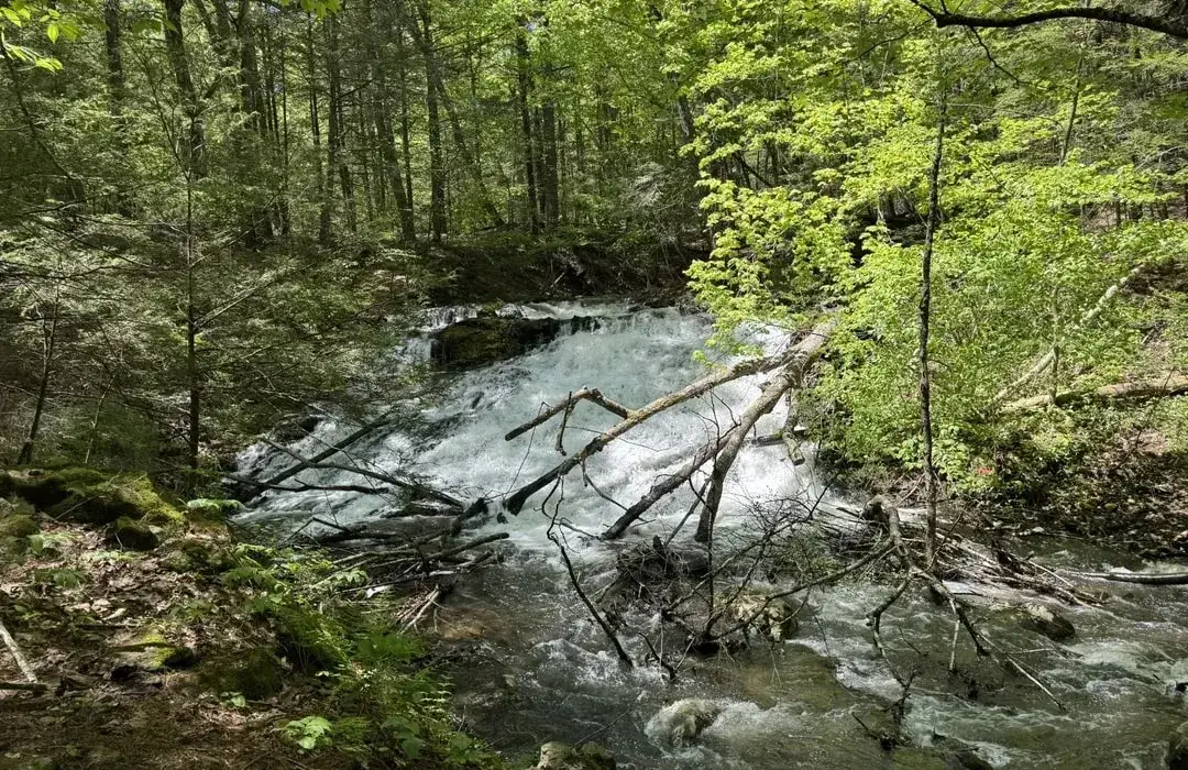 Zaskakujące odpowiedzi na hasło land jak rzeka w krzyżówkach