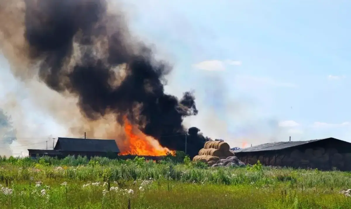 Samozapłon siana po jakim czasie? Poznaj niebezpieczeństwa i przyczyny