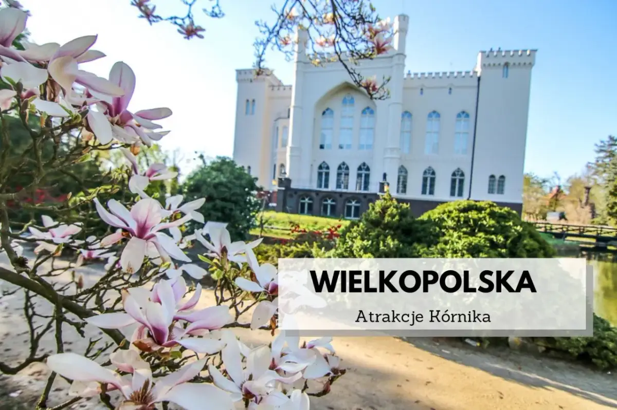 Najlepsze atrakcje w Kórniku, które musisz zobaczyć podczas wizyty
