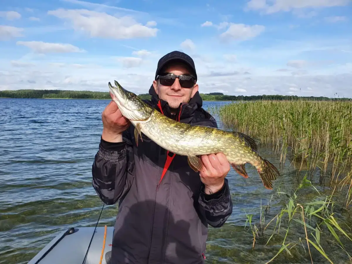Jaką przynętę na szczupaka wybrać, by nie wrócić z pustymi rękami?
