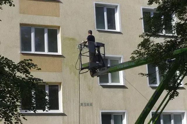 Jak usunąć zielony nalot z elewacji - skuteczne metody i porady