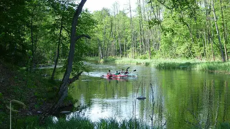 Spływ kajakowy Ruciane-Nida: Krutynia jak zaplanować idealnie?