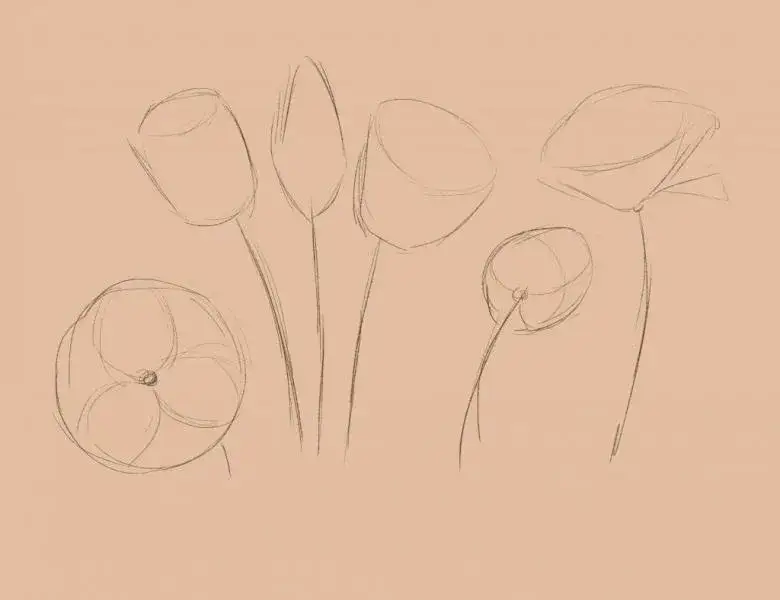 Jak narysować tulipana krok po kroku - proste błędy, których unikniesz