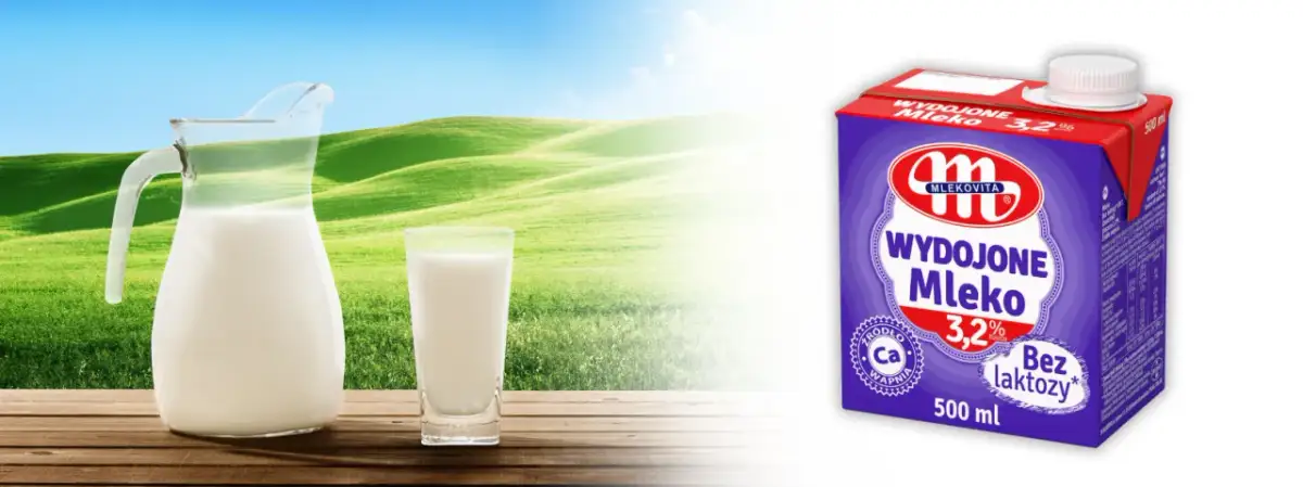 Mleko bez laktozy a weganizm: Czy to to samo? Wyjaśniamy!