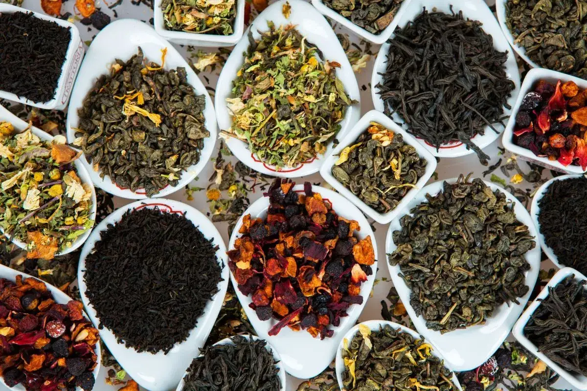 Jakie są herbaty? Odkryj ich niezwykłe właściwości i różnice