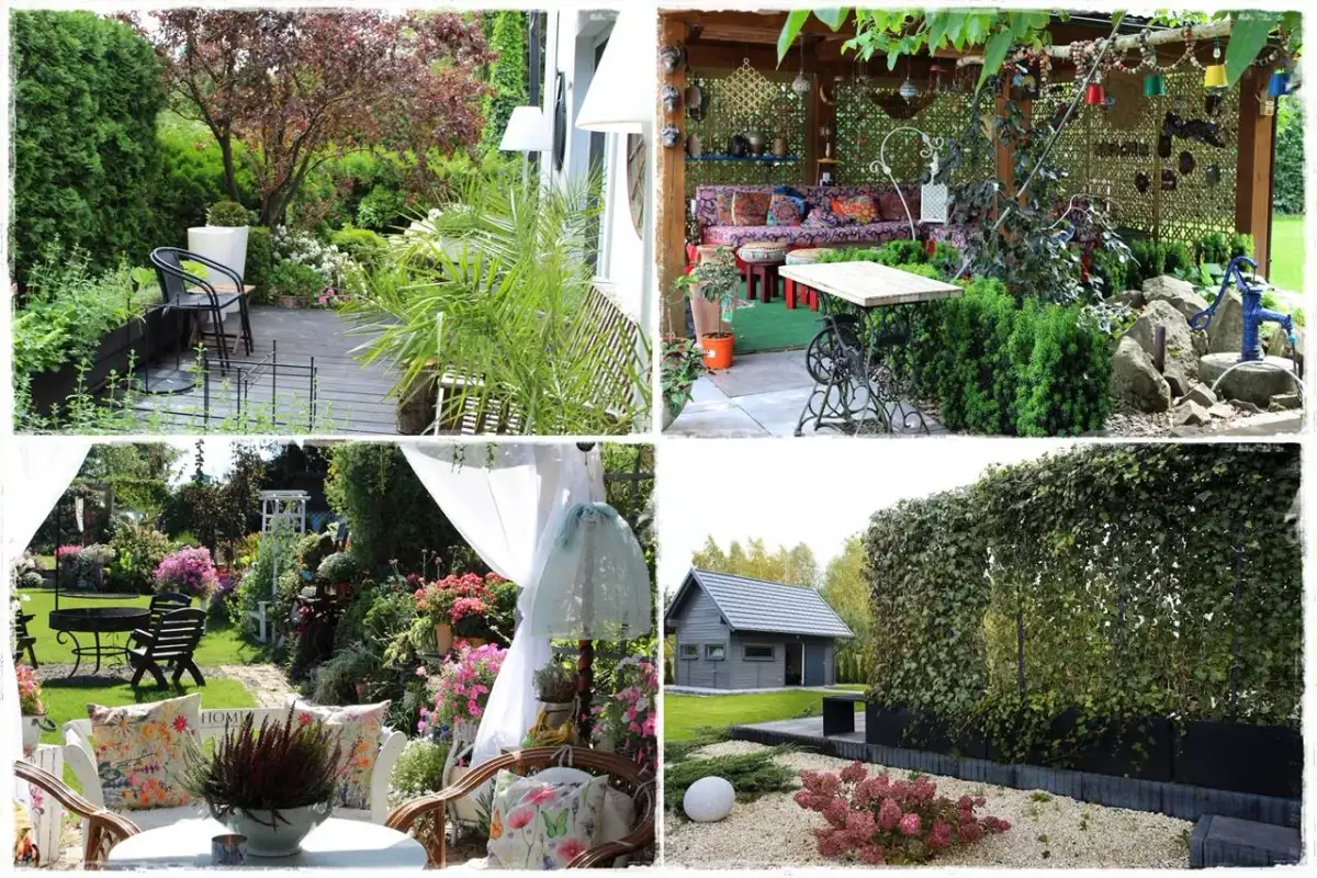 Jak osłonić taras roślinami? Stwórz zieloną oazę prywatności