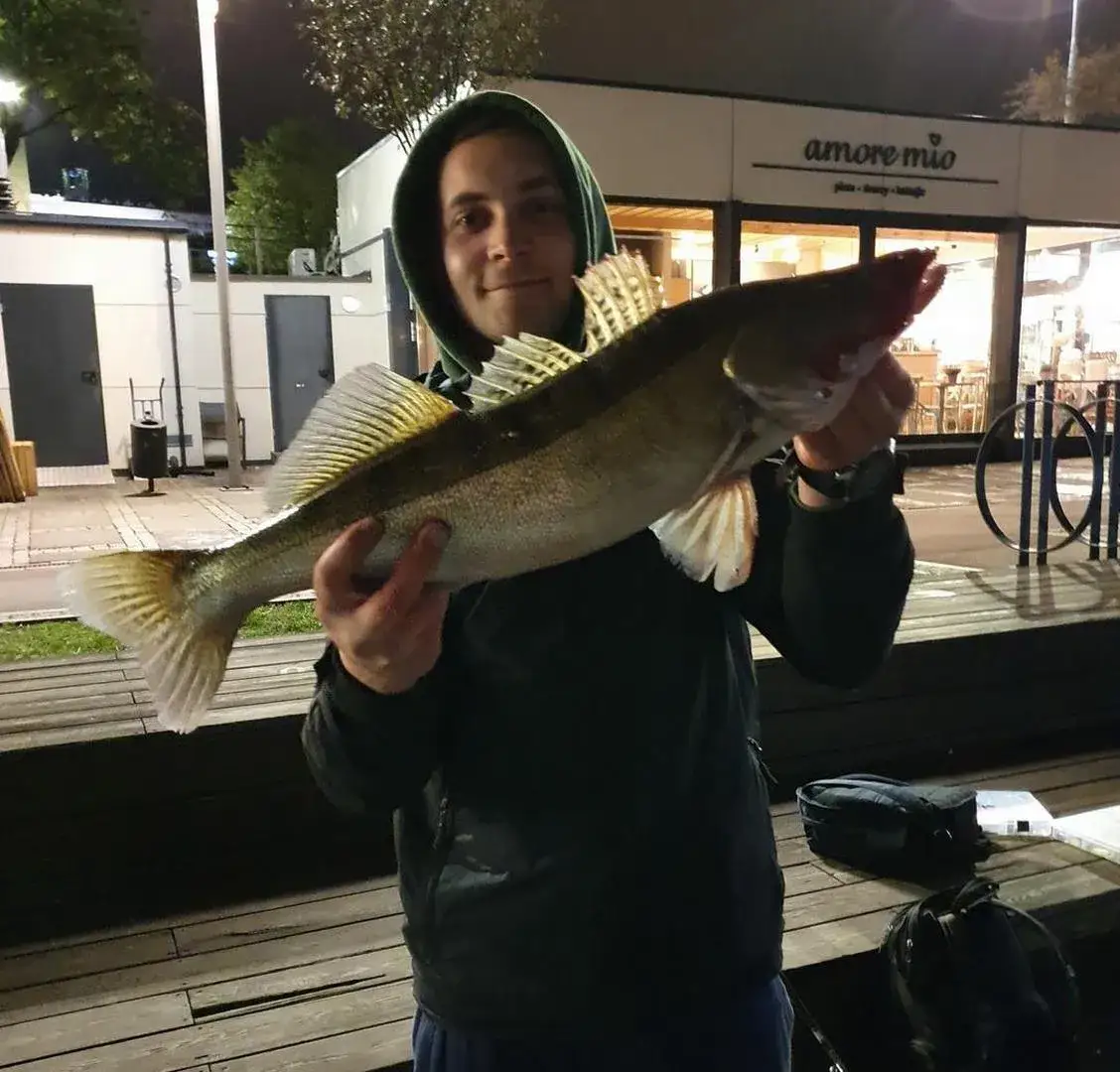 Jaka wędka na sandacza? Wybierz idealny kij i łów skuteczniej!