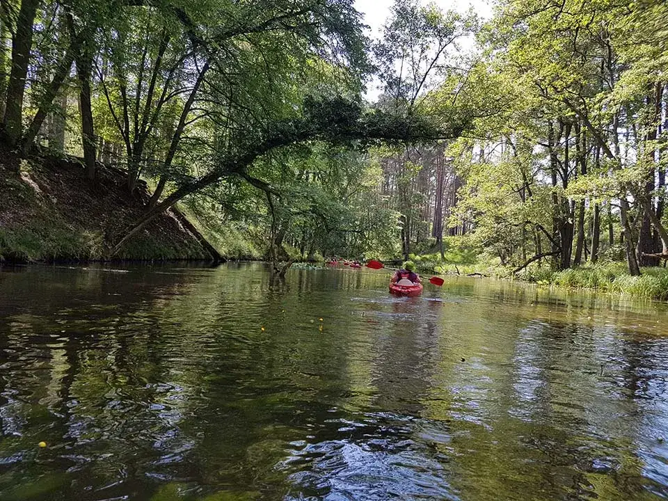 Spływy kajakowe Lubuskie: Trasy, wypożyczalnie i porady