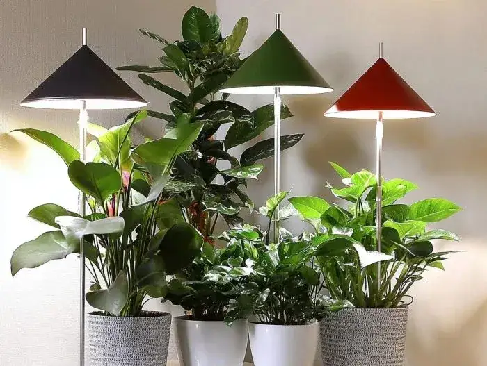 Badezimmer pflanze wenig licht: 7 pflegeleichte Optionen für dunkle Räume