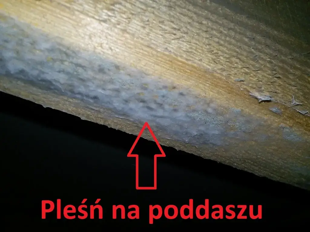 Ile czasu ma deweloper na usunięcie usterki? Poznaj swoje prawa