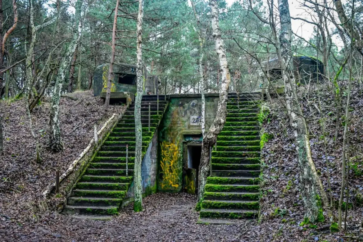 Kamienne schody porośnięte mchem prowadzą do bunkrów w rezerwacie przyrody helskie wydmy.