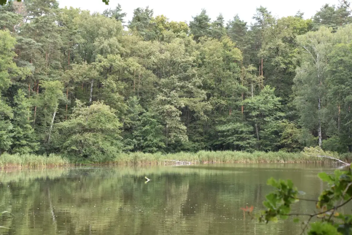 Jezioro Babskie: Odkryj ukryte skarby i atrakcje turystyczne