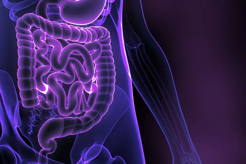 Czy badanie mikroflory jelitowej jest warte zachodu? Oto odpowiedzi