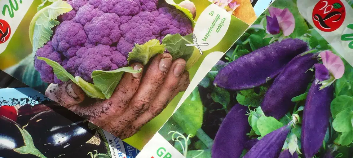 Jakie warzywa siejemy w styczniu, aby uniknąć nieudanych zbiorów?