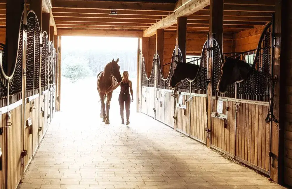 Centrum jeździeckie Stadion Kielce - najlepsze miejsce na jazdę konną
