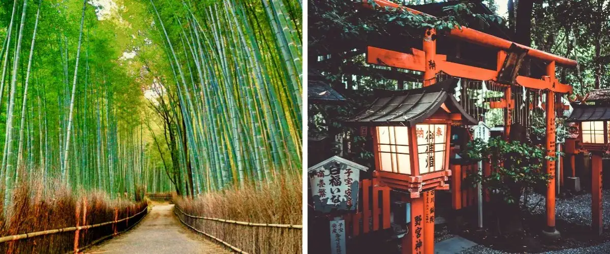 Japonia: Co zobaczyć? Przewodnik po najpiękniejszych miejscach