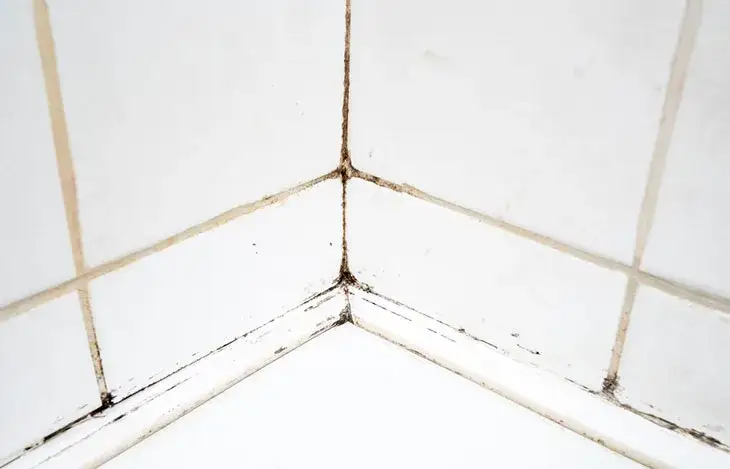 Badezimmer Fugen reinigen: Effektive Methoden für strahlend saubere Fugen