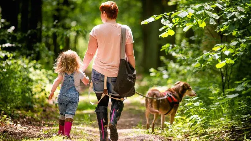 Gdzie na spacer z psem w Podkarpackiem? Odkryj najlepsze miejsca