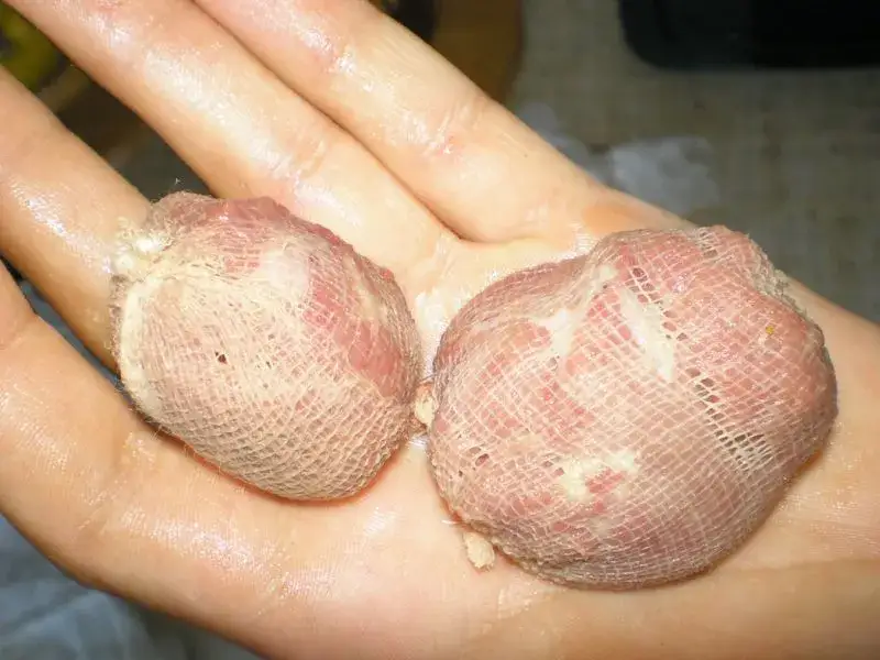 Jak założyć wątróbkę na haczyk - uniknij najczęstszych błędów