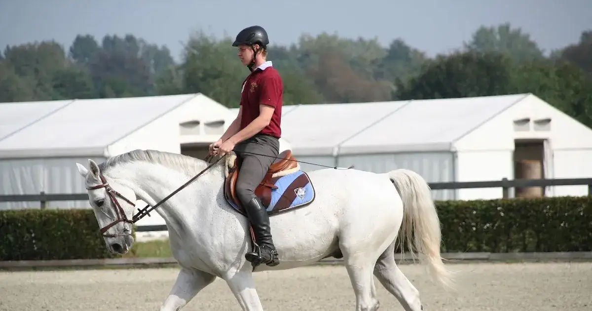 Ujeżdżalnia w stadninie: Klucz do sukcesu w jeździectwie i treningu
