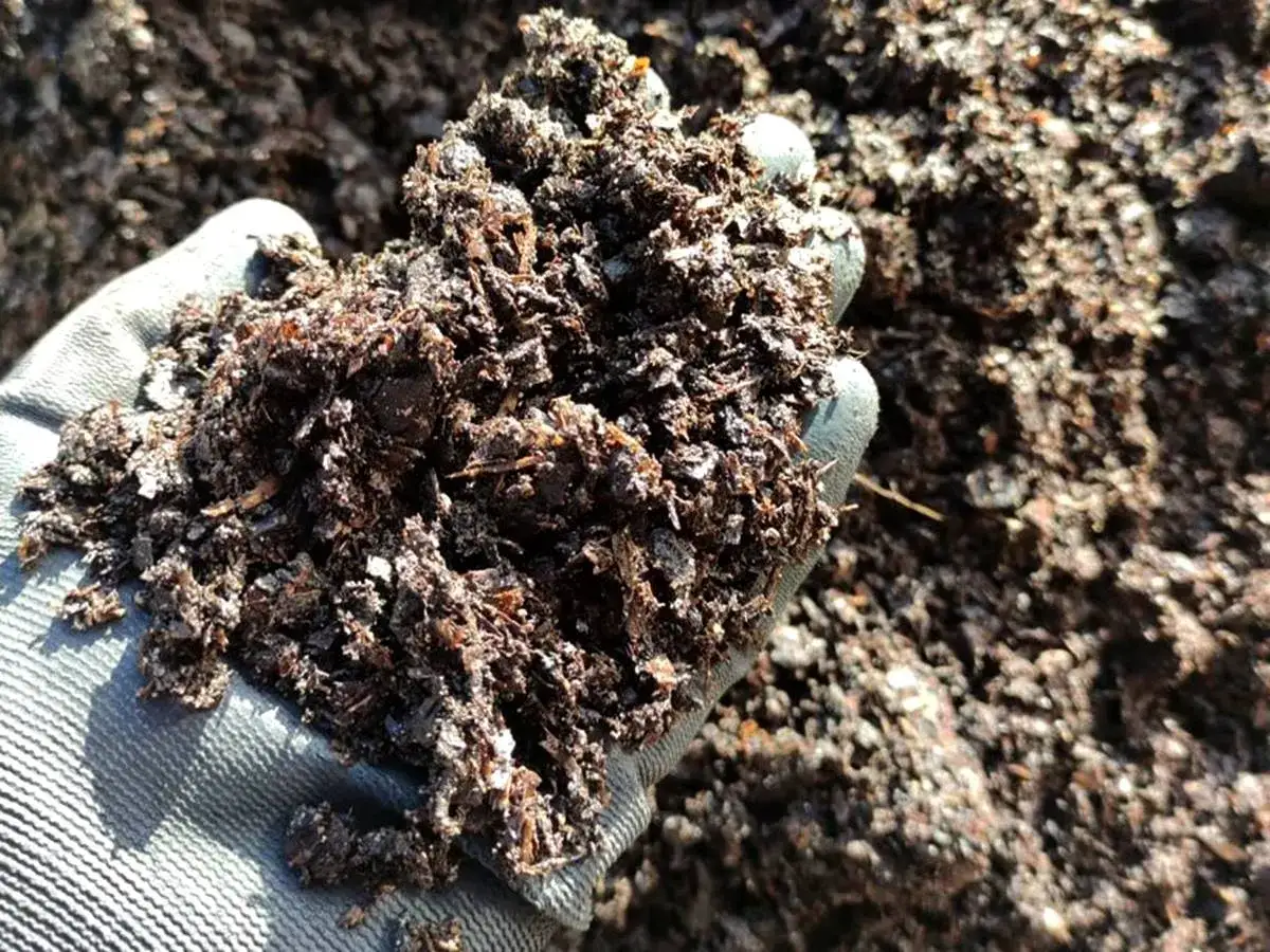 Jakie pH ma kompost? Poznaj optymalne wartości dla zdrowia roślin