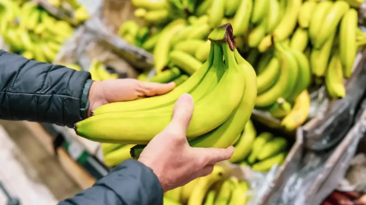 Kiedy jest sezon na banany w Polsce? Odkryj najlepsze miesiące na zakupy
