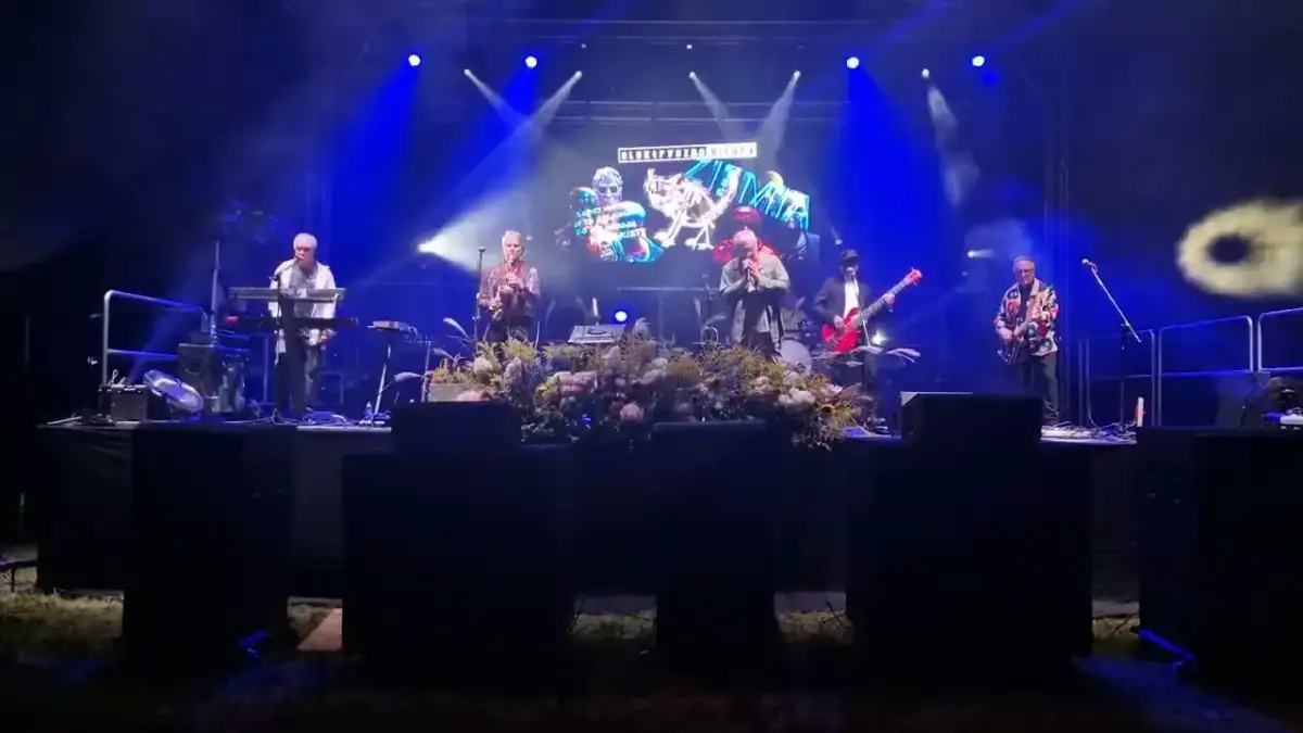 Elektryczne gitary co ty tutaj robisz mp3 - pobierz utwór teraz