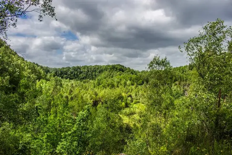 Najlepsze atrakcje w Wuppertalu, które musisz zobaczyć podczas wizyty