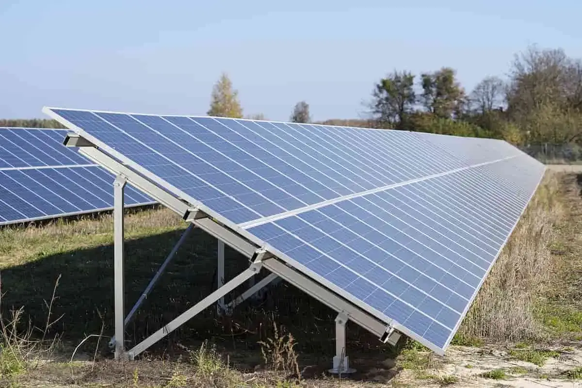 Duża instalacja PV na polu, panele słoneczne ustawione pod kątem, w tle drzewa i błękitne niebo.