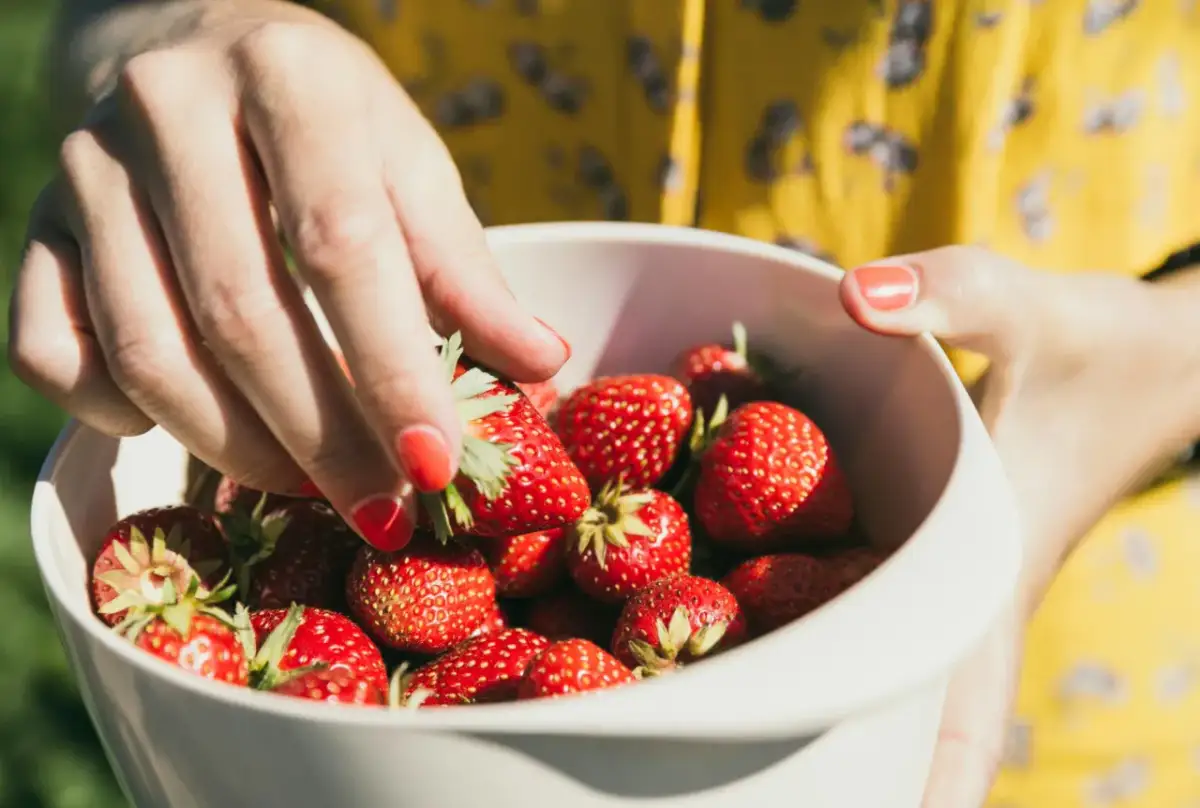 Sezon na truskawki kiedy? Poznaj najlepszy czas na świeże owoce