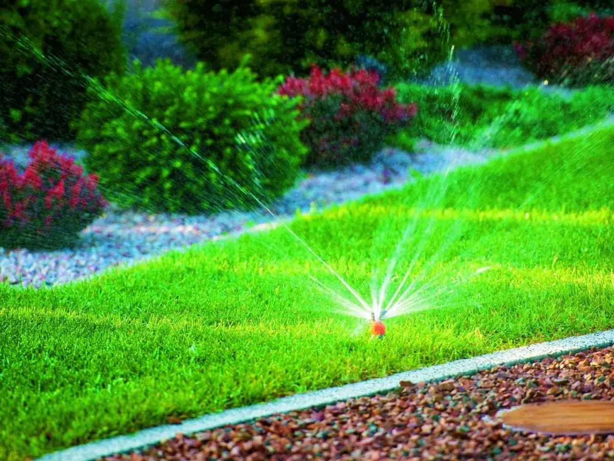 Nawadnianie kropelkowe vs zraszacze: Który system wybrać do ogrodu?