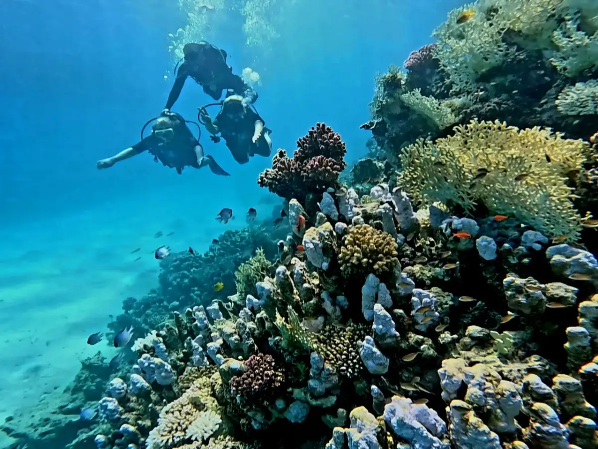 Marsa Alam: Podwodny raj i pustynne przygody. Planuj wakacje!
