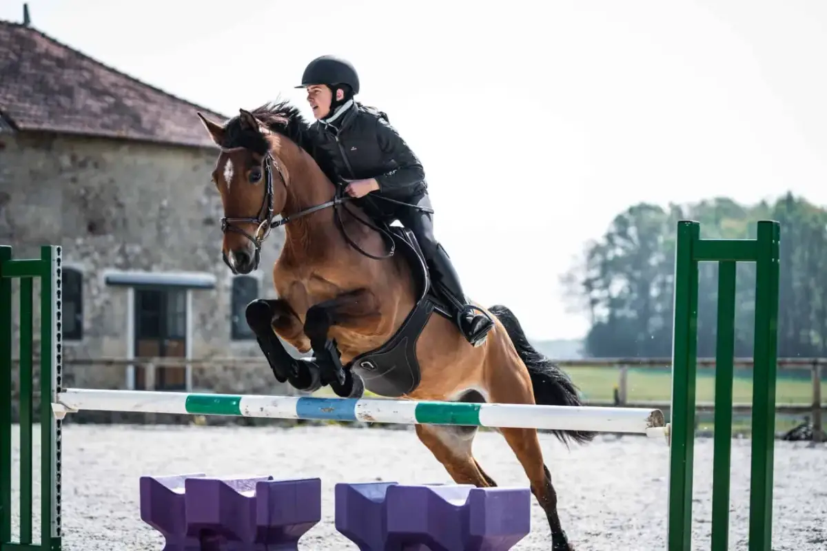 Jeździec w kasku i czarnej kurtce pokonuje przeszkodę na brązowym koniu. Czy jazda konna odchudza? Ten sport to świetny trening!