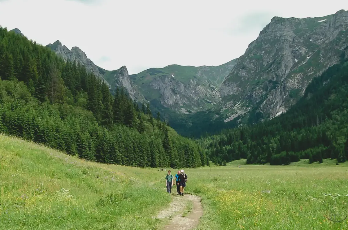 Tatry: Najpiękniejsze miejsca, szlaki i porady. Twój przewodnik!