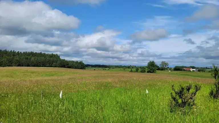Kruklanki atrakcje: Odkryj najpiękniejsze miejsca i aktywności w naturze