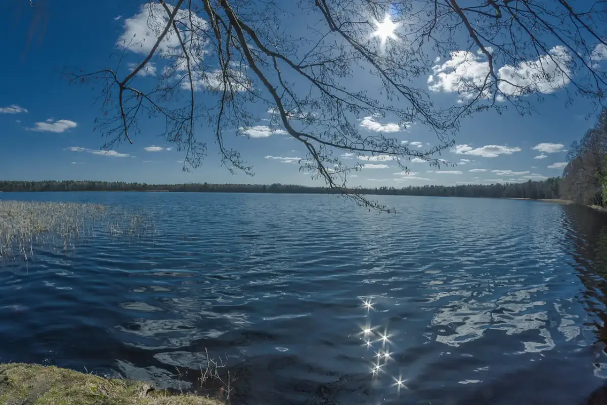 Jezioro Czarne Sosnowickie: piękno natury i rekreacja w ciszy