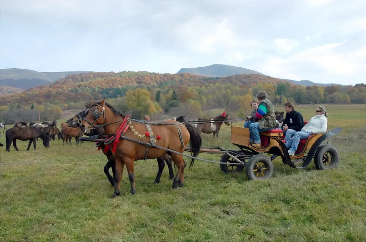 Stadnina koni huculskich w Bieszczadach - unikalne doświadczenia jeździeckie