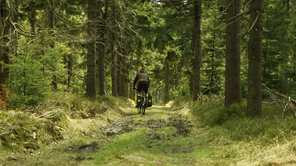 Góry Sowie na rowerze: Jak zaplanować idealną wycieczkę?