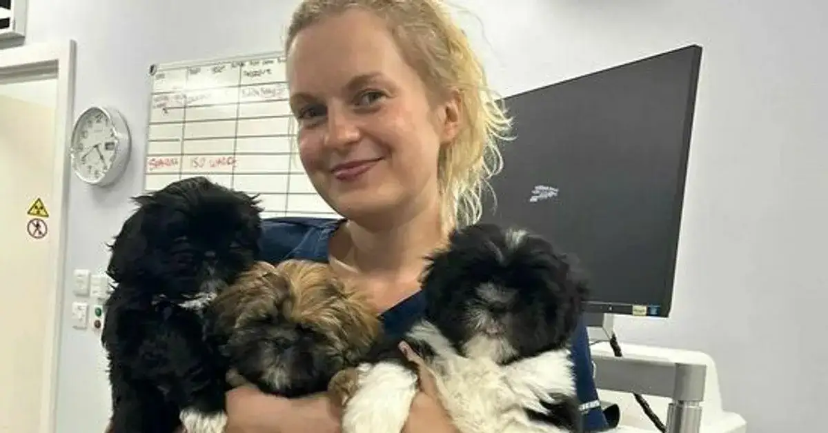 Ile zarabia weterynarz w Anglii? Zaskakujące fakty o wynagrodzeniach