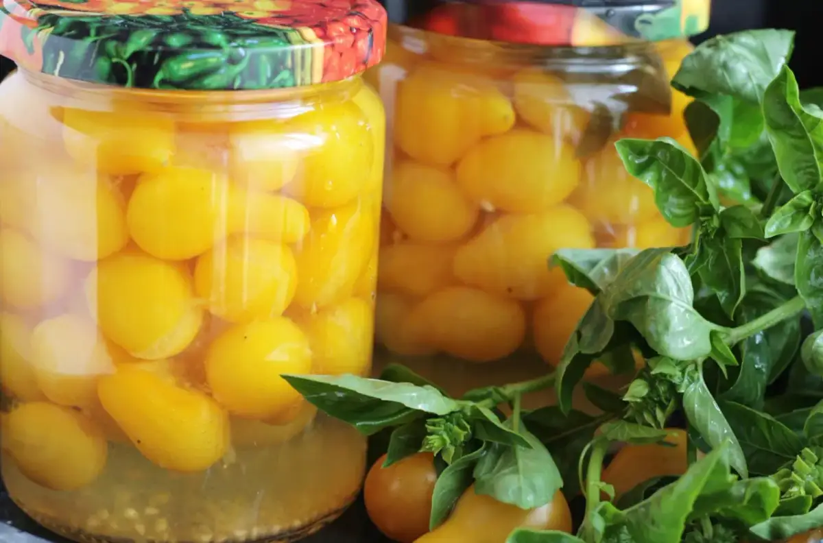 Słoiki z całymi pomidorami w zalewie, przygotowane na zimę. Obok pęczek świeżej bazylii.