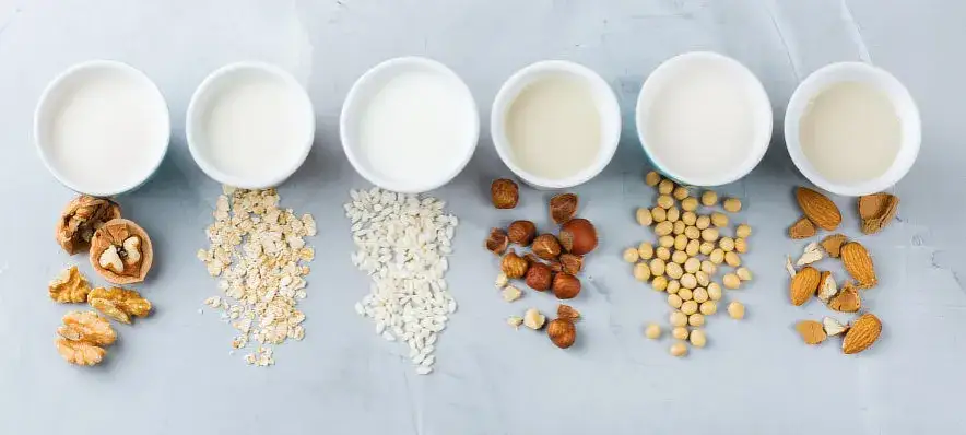 Co to jest mleko roślinne? Odkryj jego korzyści i rodzaje